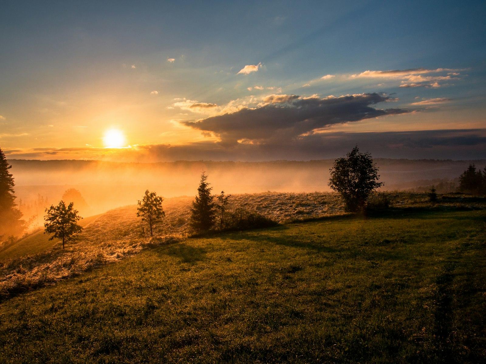 Prairie de campagne au lever du soleil
