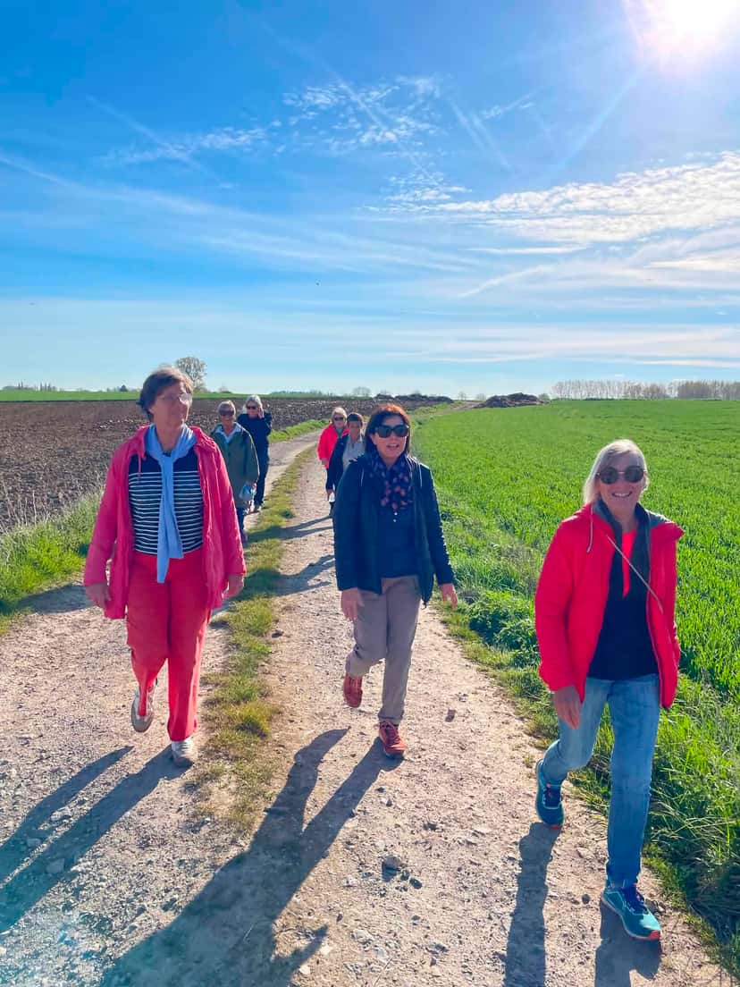 Marcheuses sur un chemin de campagne entre les champs, par grand soleil