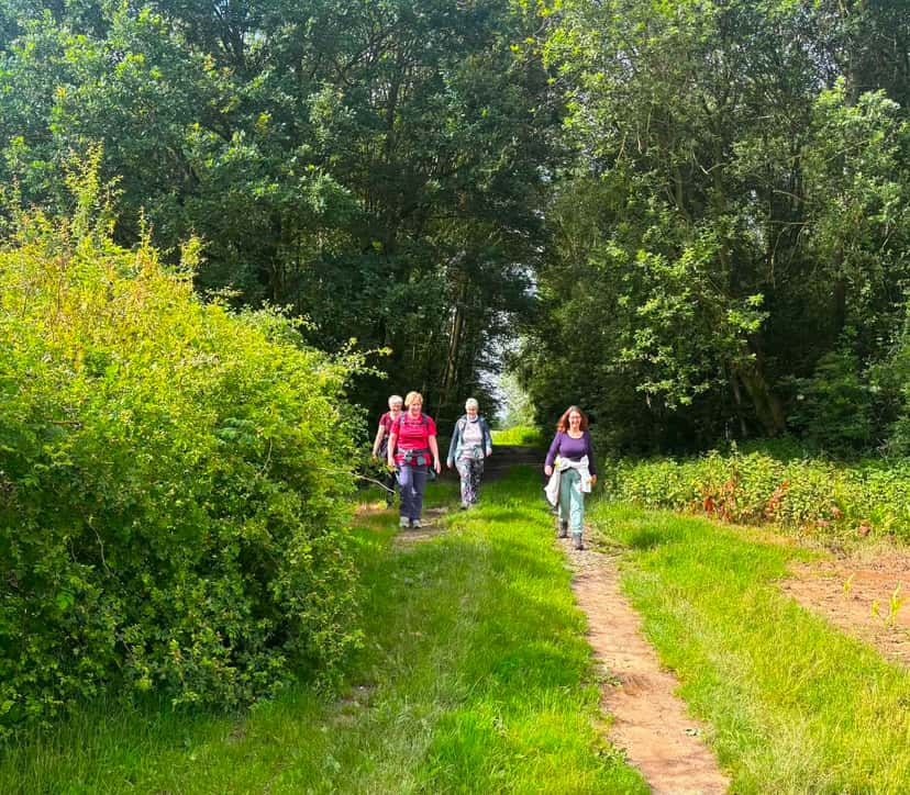 Petit groupe sur un sentier herbeux longeant une haie en été