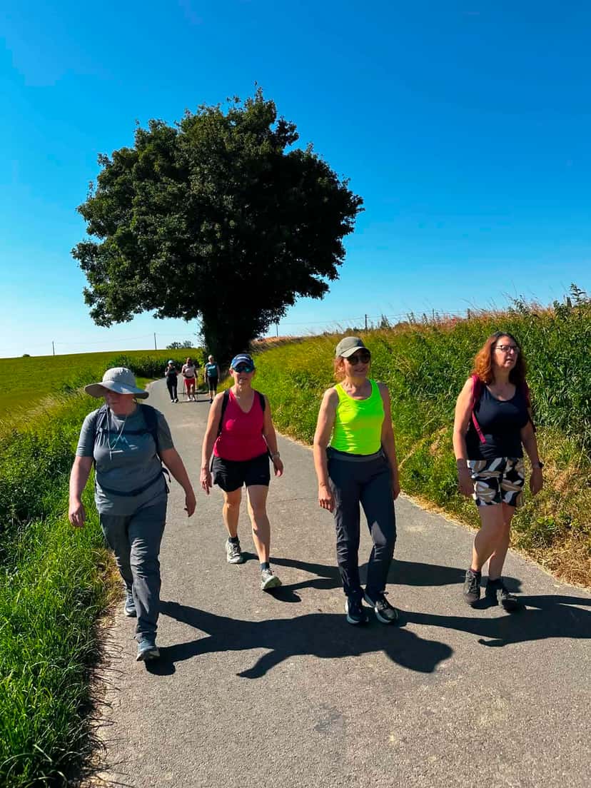 Marcheurs sur une petite route de campagne, près d'un arbre isolé