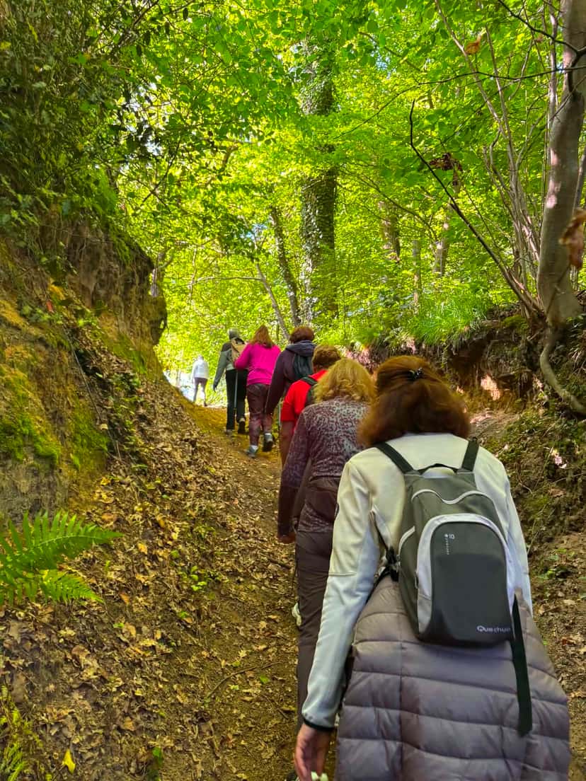 Montée dans un chemin creux, sous la voûte verte des arbres