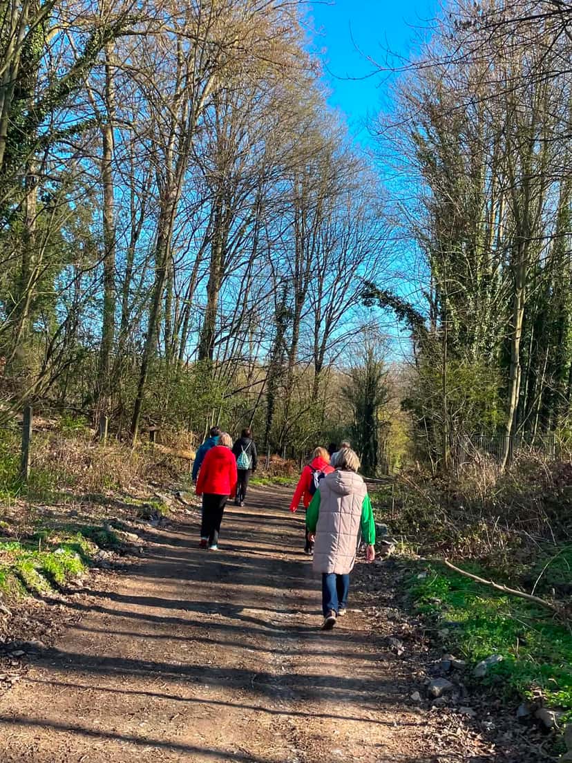 Sortie hivernale dans un bois aux arbres nus