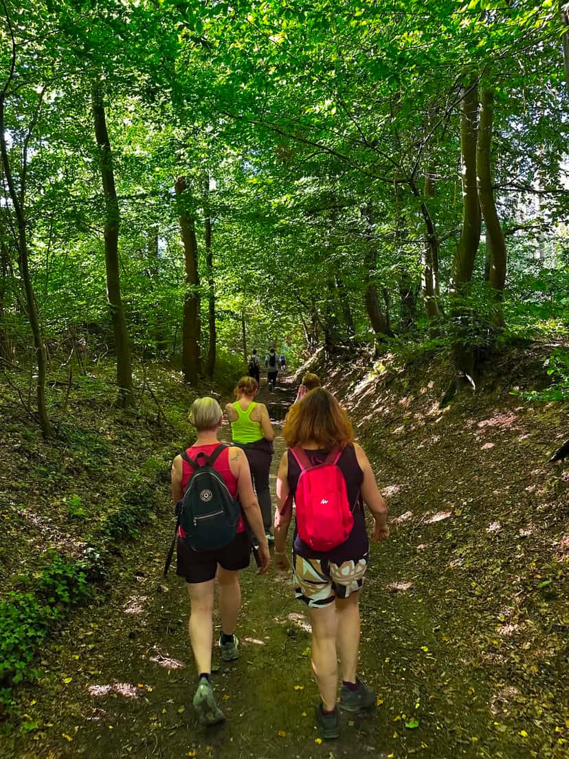 Progression en file sur un sentier étroit, entre les fougères