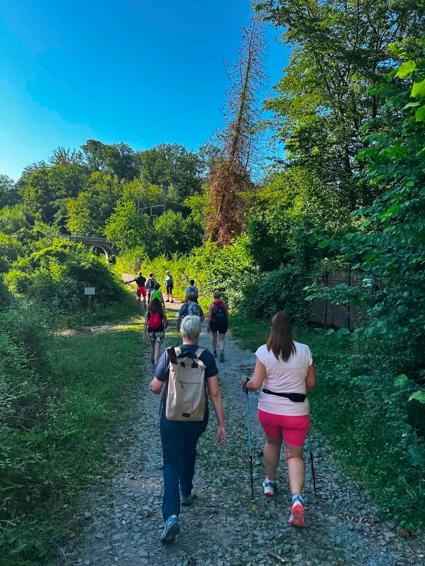 Montée sur un chemin pierreux, dans la végétation d'été