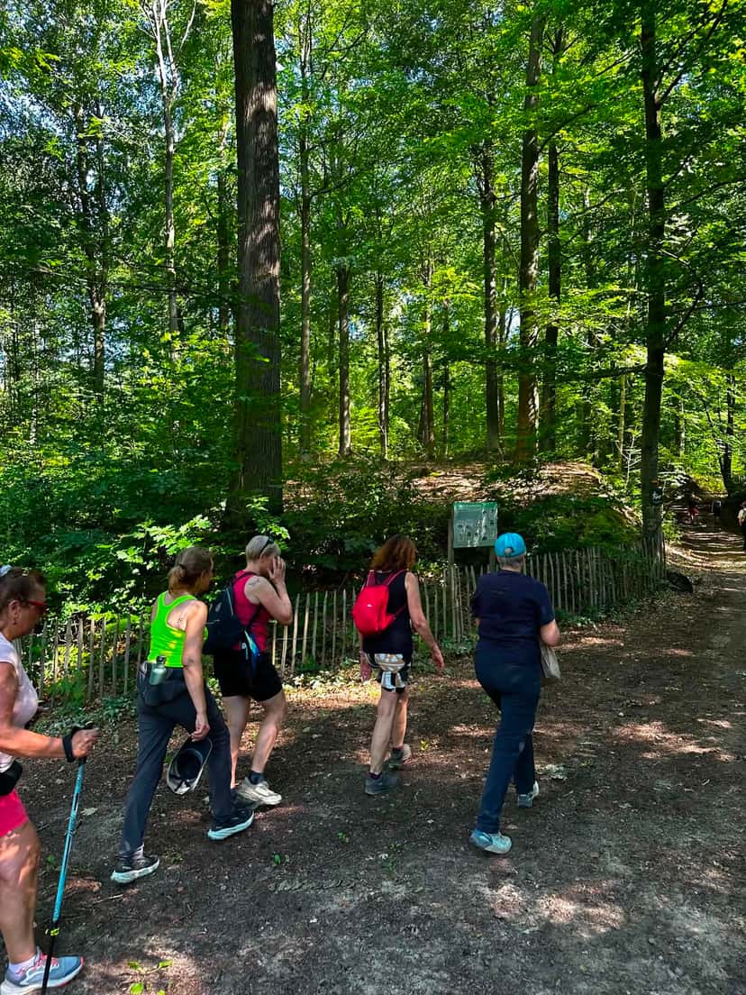 Entrée dans le bois, bâtons en main