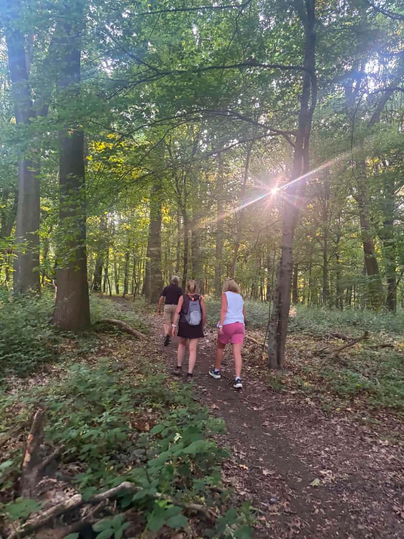 Rayon de soleil à travers les hêtres, sur le chemin du retour